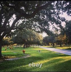 1 Cemetery Plot At Rosewood Memorial Park In Humble, Texas
