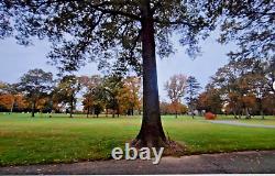 1 Cemetery burial plot (2 graves), East Hanover, NJ Restland Memorial Park