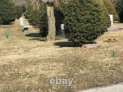 10 Grave plots Memorial Park Skokie, IL