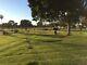 2 Burial Plots in beautiful Harbor Lawn Mt. Olive Memorial Park & Mortuary
