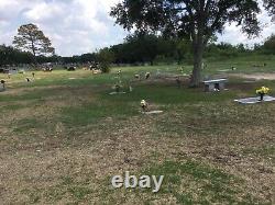 2 Cemetery Plots. Pearland, TX-SOUTH PARK CEMETERY (Garden of the Last Supper)