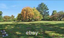 4 Burial Lots Belcrest Memorial Park each sold Individually