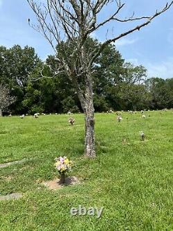 4 Cemetery Plots in Well Maintained Lakewood Memorial Park