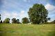 4 burial plots. $1750 In Lancaster, Pa. CMS EAST / aka Conestoga Memorial Park