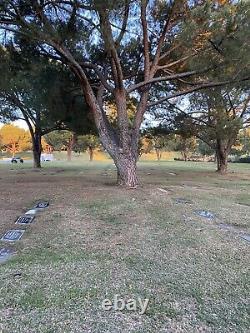 6 Burial Plots (side by side) In Rose Hill Memorial Park & Mortuary Whittier CA