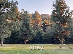 6 Burial Plots (side by side) In Rose Hill Memorial Park & Mortuary Whittier CA