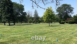 8 Cemetery plots In Evergreen Cemetery in Evergreen Park, IL