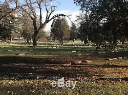 ACACIA Park, Chicago, IL 2 side-by-side cemetery plots for sale, TECOMA sect