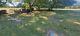 Beautiful Burial Plots in Defenders of the Flag in Meadowridge Memorial Park