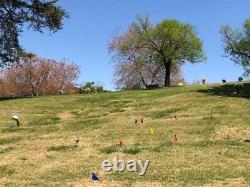 Beautiful Cemetary Plot Arlington Memorlal Park