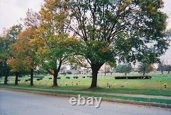 Bethlehem Memorial Park Burial Plot