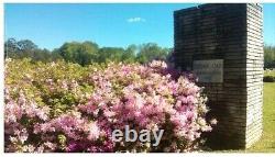 Burial Plot Cedar Oak Memorial Park Tuscaloosa Alabama