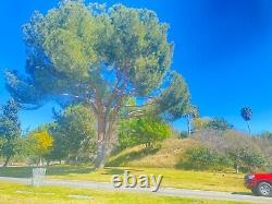 Burial Plot in Olivewood Memorial Park Cemetery in Riverside, California