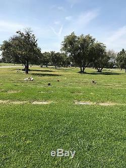 Burial Plot in Rose Hill Memorial Park in Whittier, CA (Olive Lawn), i