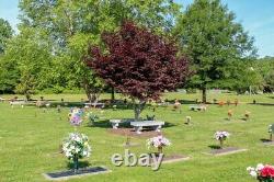 Burial Plot in The Williamsburg Memorial Park next to beautiful flowering trees