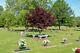 Burial Plot in The Williamsburg Memorial Park next to beautiful flowering trees