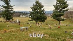 Burial Plots(x4) Located on Beautiful Hill in Augusta Memorial Park $3700