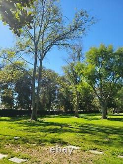 Burial plots, Westminster Memorial Park/California