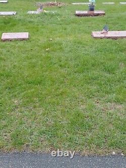 Cemetery Plot MEMORIAL PARK Skokie Illinois
