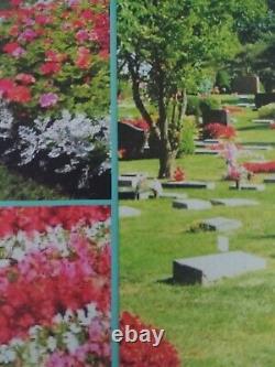 Cemetery Plot MEMORIAL PARK Skokie Illinois