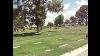 Cemetery Plots For Sale 2800 Each Tucson Arizona