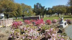 Discounted Cemetery Plots (3) in Forest Park West Cemetery, Shreveport, LA