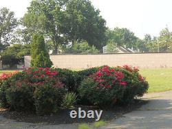 Double Space Crypt Clover Leaf Memorial Park $6000 (woodbridge, Nj)