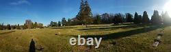 George Washington Memorial Park 4-cemetery plots