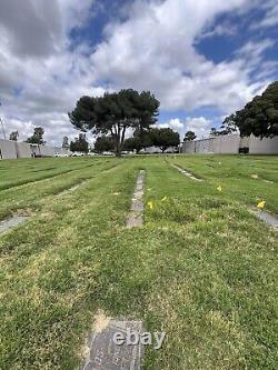 Inglewood Park Cemetery Evergreen, single plot view of the Forum and SoFi