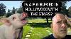 Is There A Pig Buried At Forest Lawn Hollywood Hills With All The Stars A Bizzare Cemetery Story