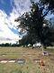 LIVE OAK MORTUARY & MEMORIAL PARK? Cemetery Burial Plot Grave Space California