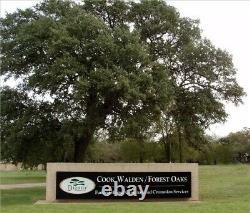 Prime Burial Plots, Cook-Walden Forest Oaks Memorial Park, Austin, Texas, Shaded