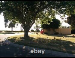 Resthaven Park Cementary Lot 8 Section 10