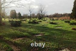 Rose Hill Memorial Park, Rocky Hill, CT Cemetary Lot + 25% Off Funeral Charges