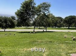 Rose Hills Memorial Park Whittier CA 3 Side-by-Side Single Cemetery Burial Plots