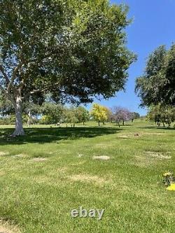 Rose Hills Memorial Park Whittier CA 3 Side-by-Side Single Cemetery Burial Plots