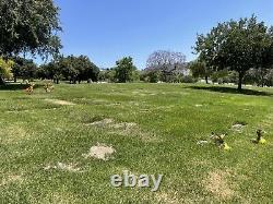 Rose Hills Memorial Park Whittier CA 3 Side-by-Side Single Cemetery Burial Plots