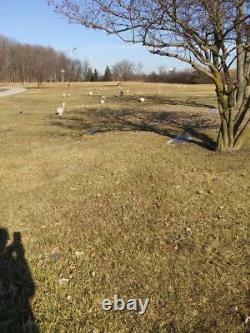Single Cemetery Plot in Highland Park Cemetery in Northeast Fort Wayne