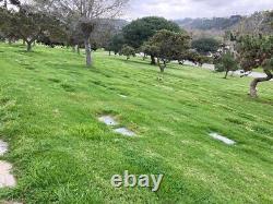 TWO Cemetery Plots, El Camino Memorial Park, beautiful and serene, San Diego, CA