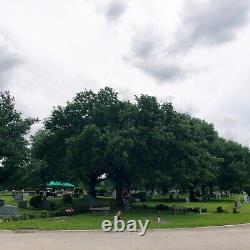 Two (2) Cemetery Lots in Sold Out Section Of Forest Park Lawndale In Houston TX