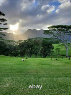 VIEW Cemetery Plot (1) Hawaiian Memorial Park Peace Kaneohe, HI (Oahu)